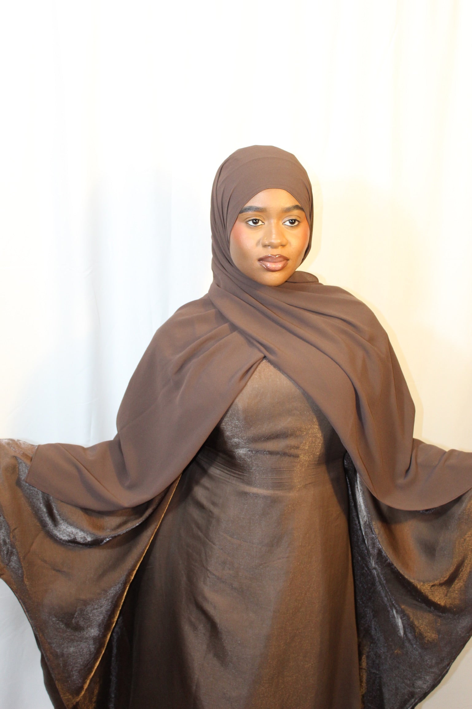 Metallic Butterfly Abaya with matching hijab